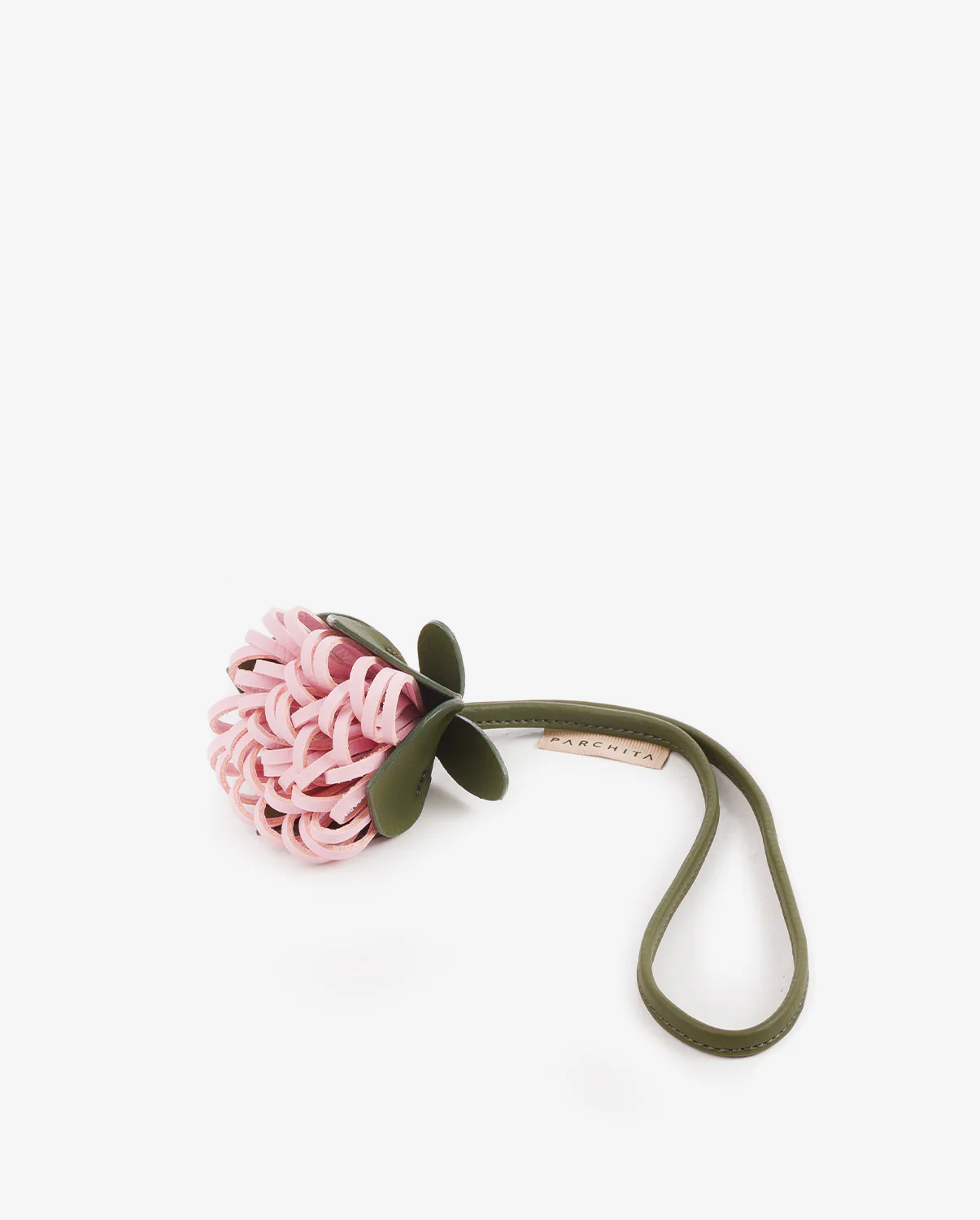 Charm Protea