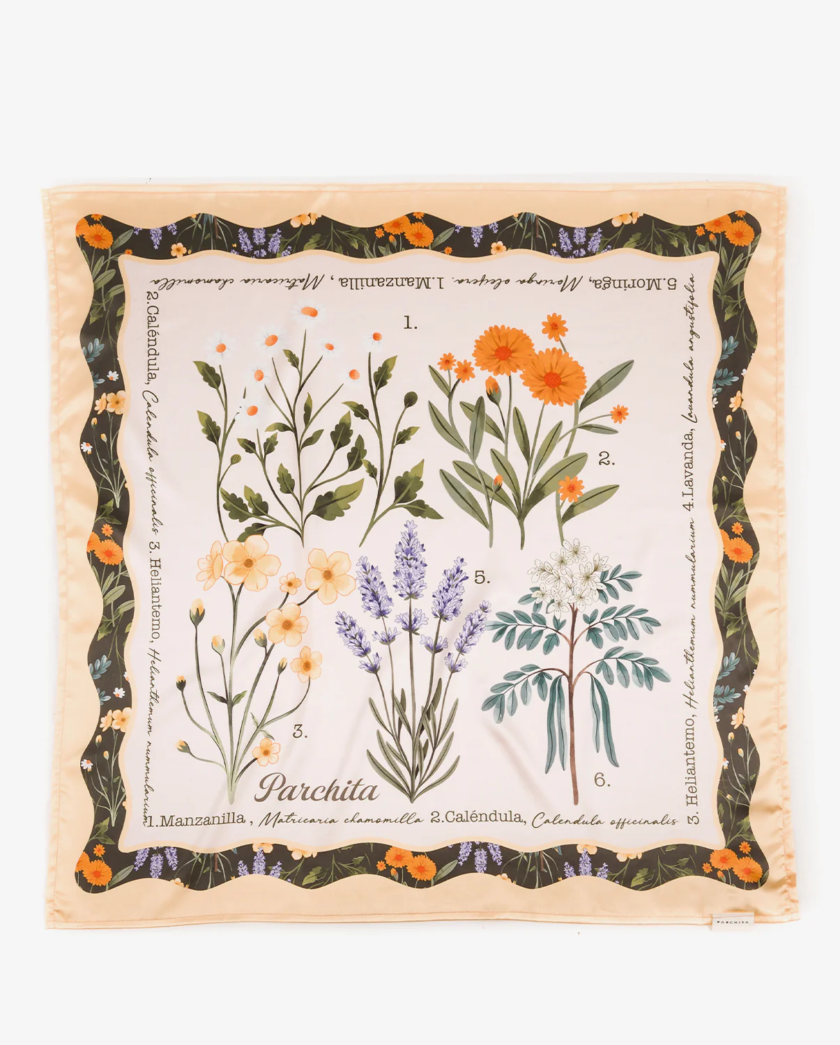 Pañoleta Botánica - Image 4